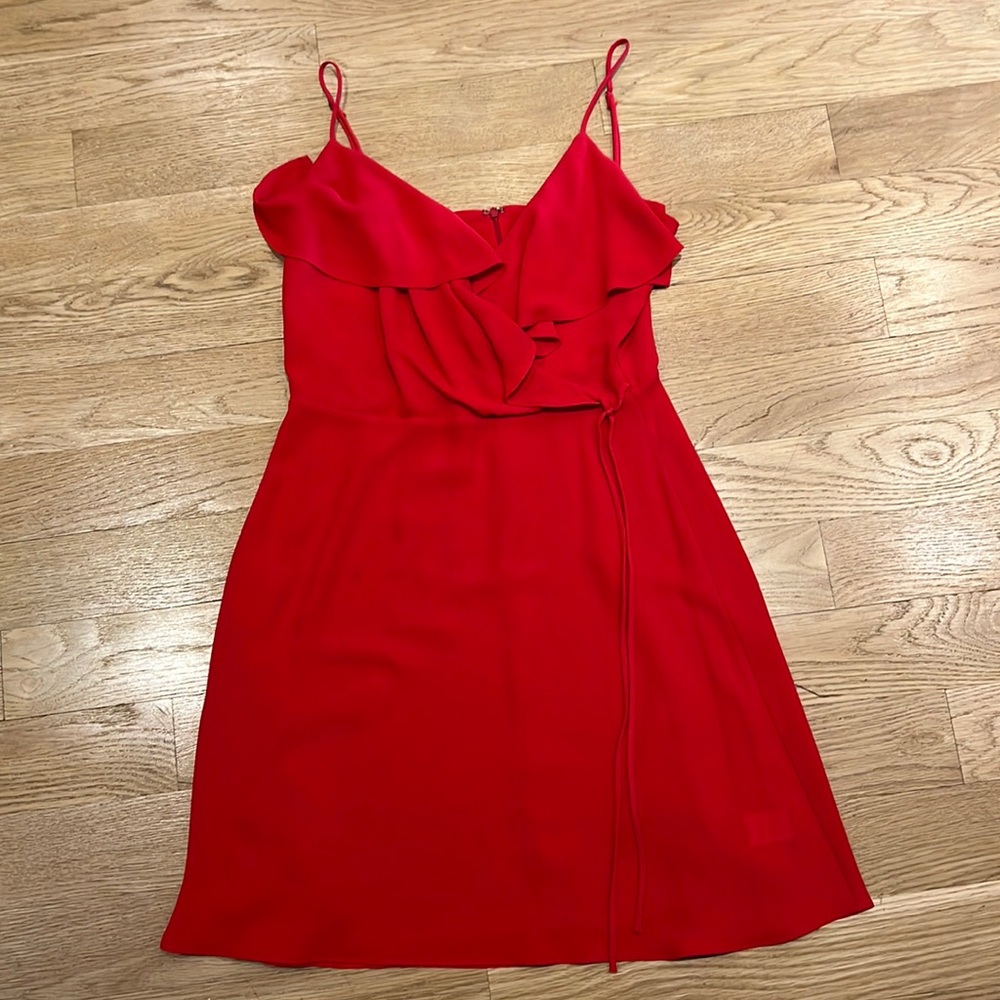 Bailey44 Red Mini Dress